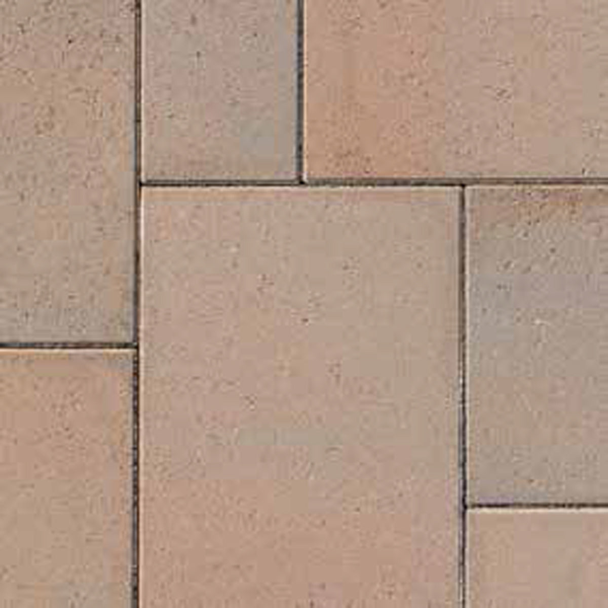Fossil Beige