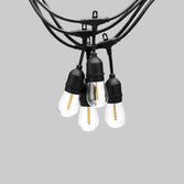 Bistro Lights (TSS-SL100)