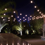 Bistro Lights (TSS-SL100)