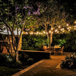 Bistro Lights (TSS-SL100)