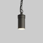 Traditional Low Voltage Pendant Light (TSS-AP400)