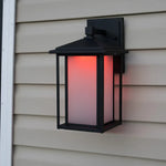 Low Voltage Modern Sconce Light (TSS-AS300)