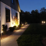 High Power Accent Light (TS-B106)