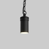 Traditional Low Voltage Pendant Light (TSS-AP400)