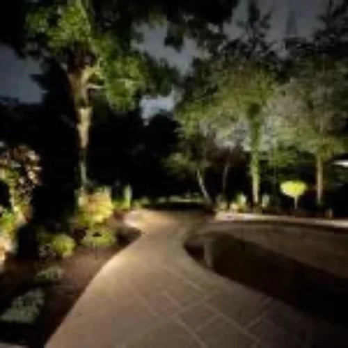 High Power In-Ground Well Light (TS-B201)