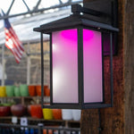 Low Voltage Modern Sconce Light (TSS-AS300)