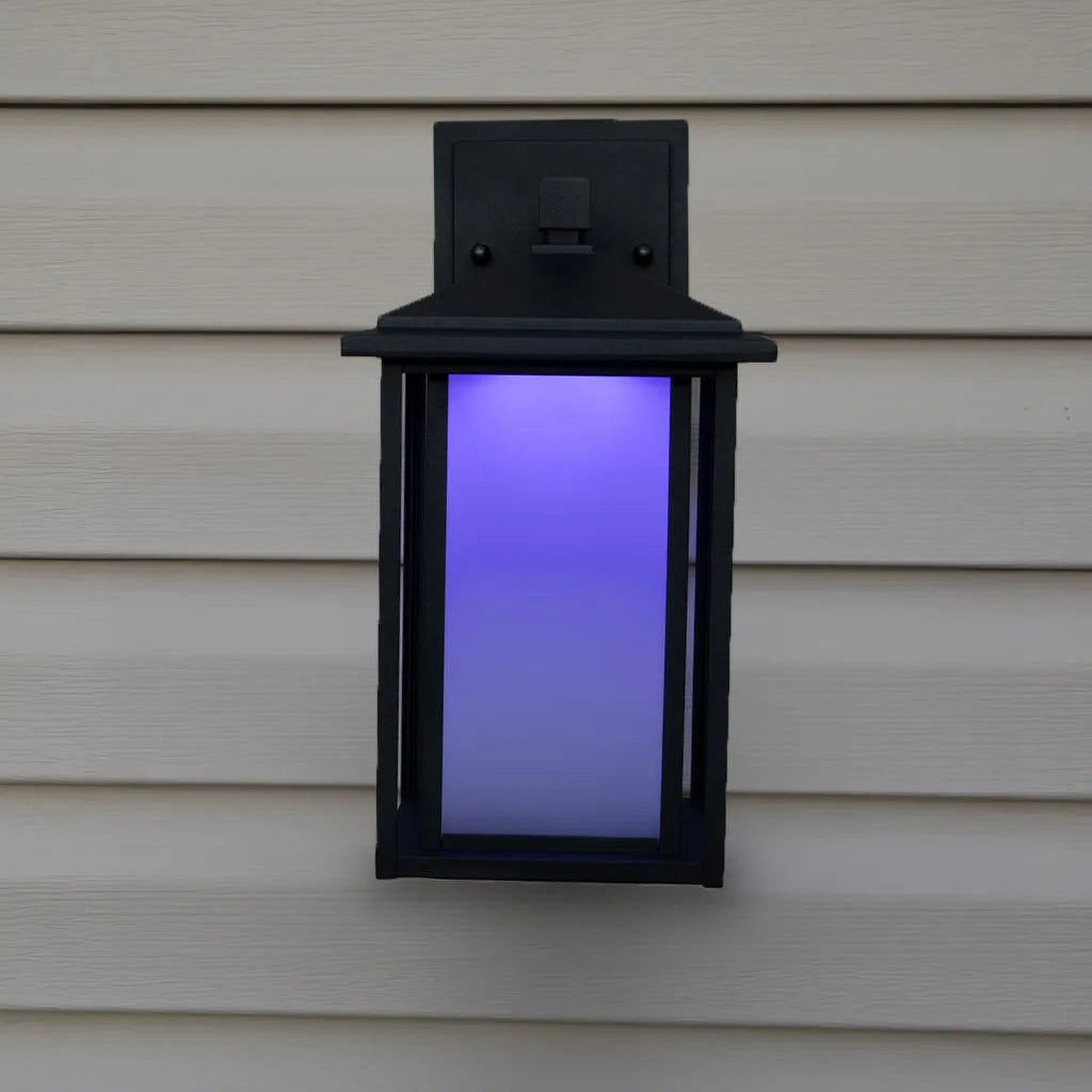 Low Voltage Modern Sconce Light (TSS-AS300)
