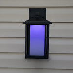 Low Voltage Modern Sconce Light (TSS-AS300)