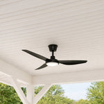 Low Voltage Outdoor Ceiling Fan (TSS-CF100)
