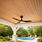 Low Voltage Outdoor Ceiling Fan (TSS-CF100)