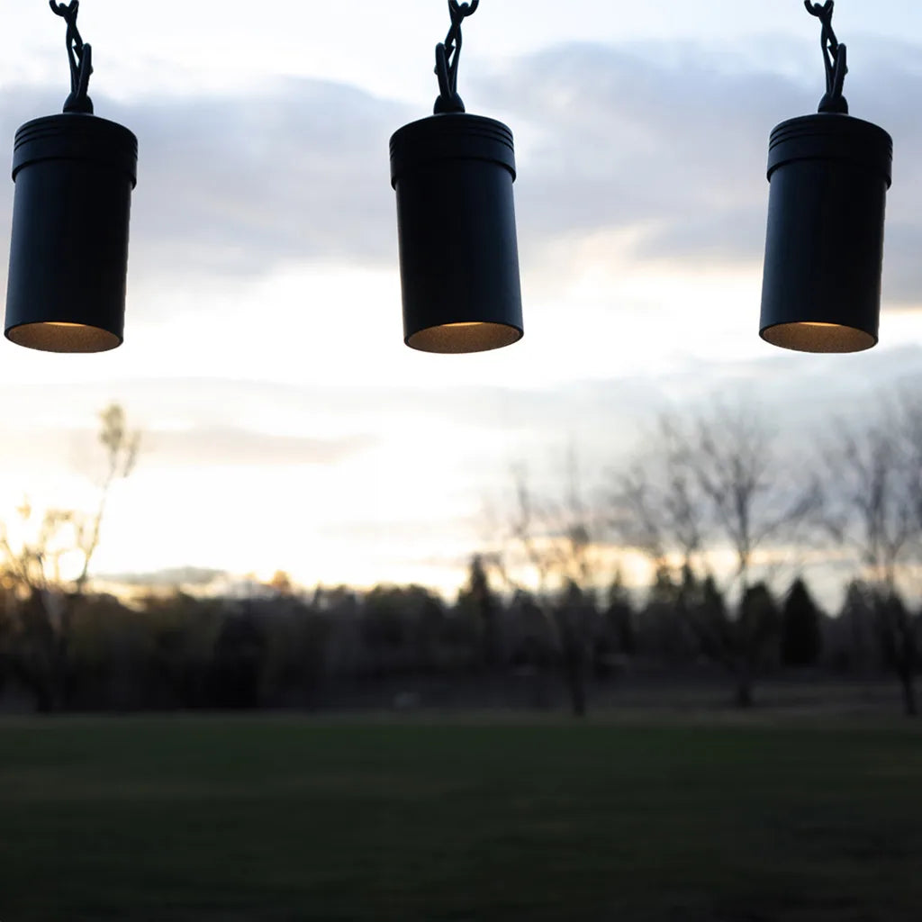 Traditional Low Voltage Pendant Light (TSS-AP400)