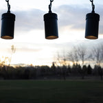 Traditional Low Voltage Pendant Light (TSS-AP400)