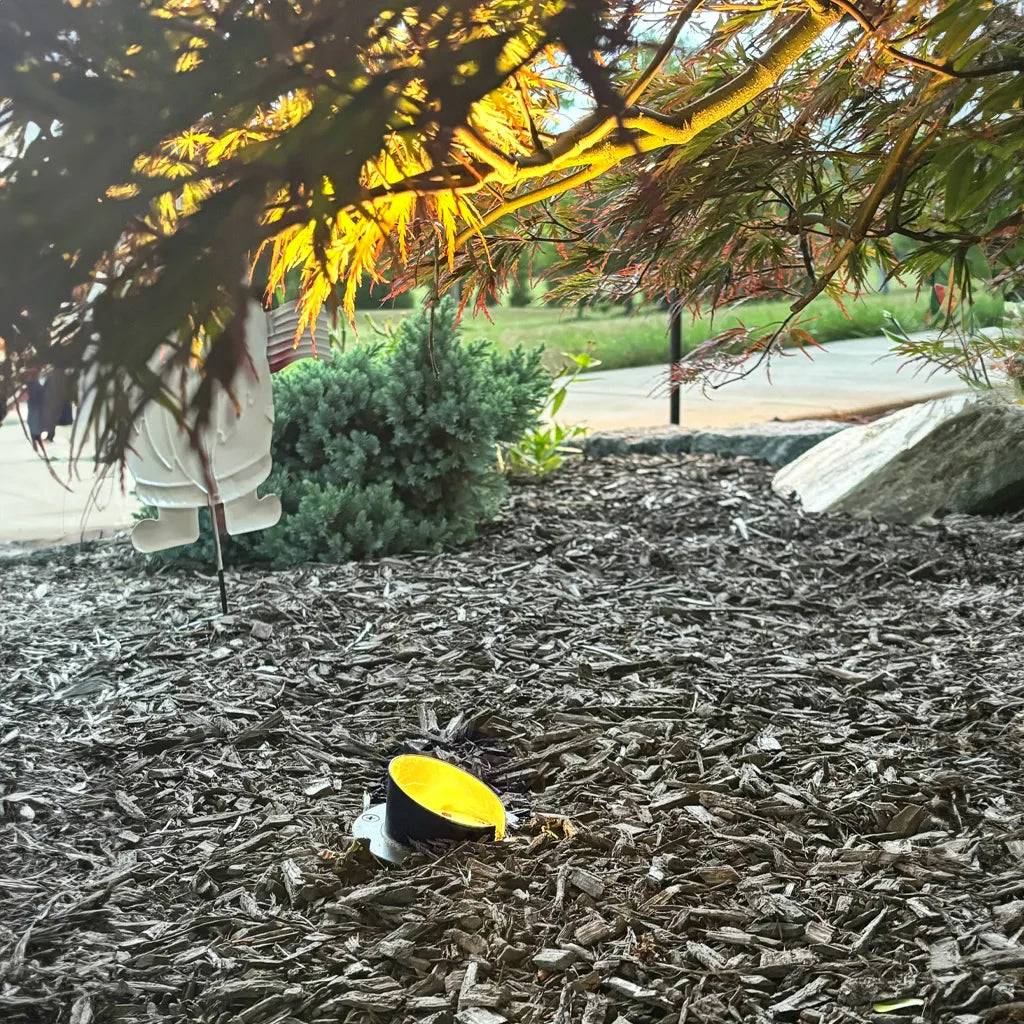 Sealed In-Ground Well Light (TS-B203)