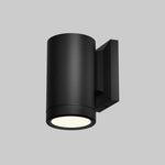 Dual Lamp Sconce Light Color Changing (TSS-AS201)