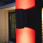 Dual Lamp Sconce Light Color Changing (TSS-AS201)