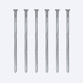 10" Galvanized Spikes