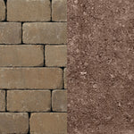 Gascony Tan / Ashbury Haze