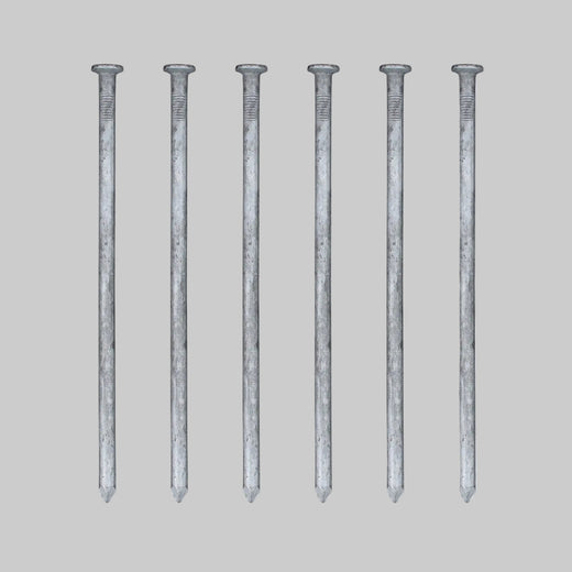 10" Galvanized Spikes
