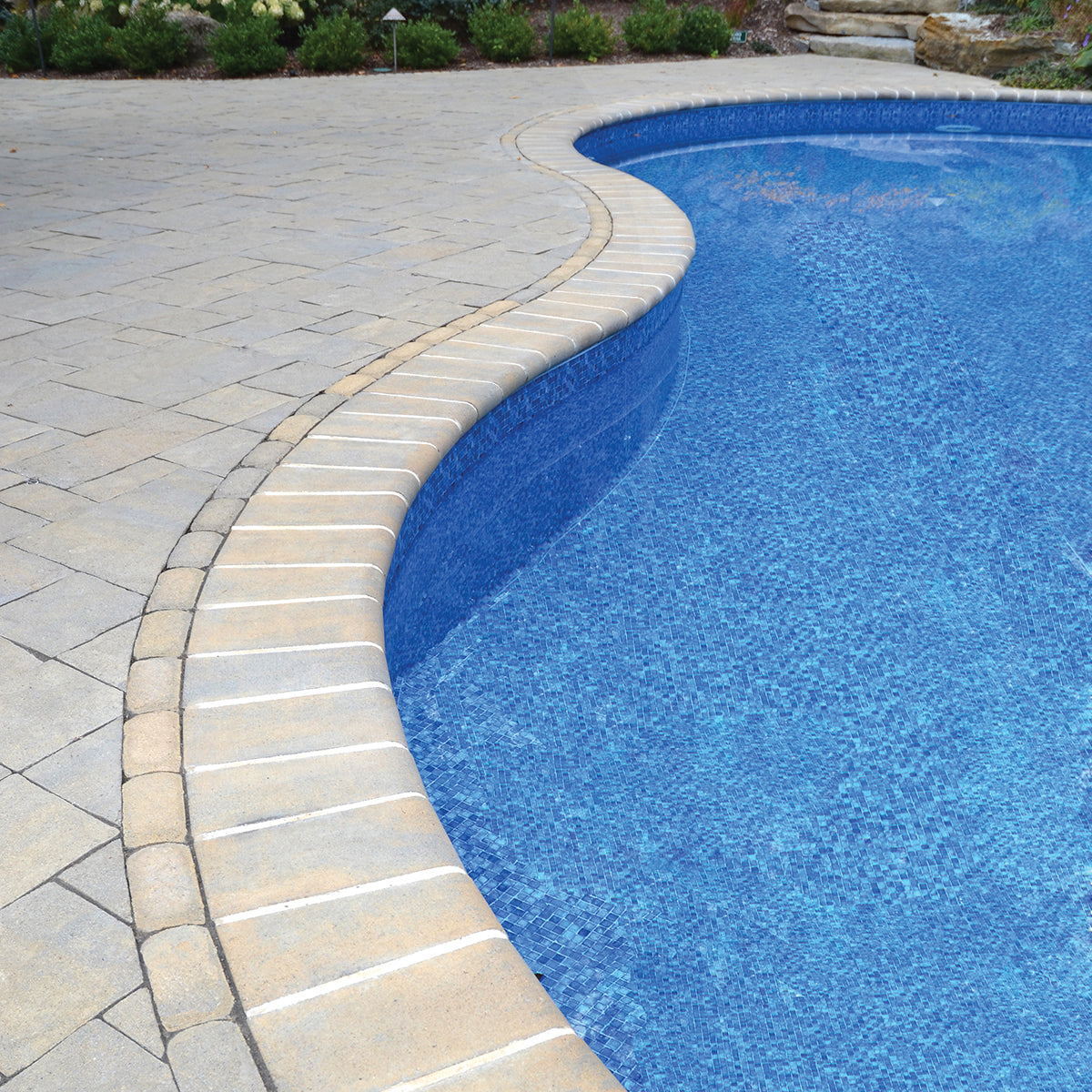 Concrete Bullnose Pool Coping Pool Coping Swimming Pool Coping Ideas